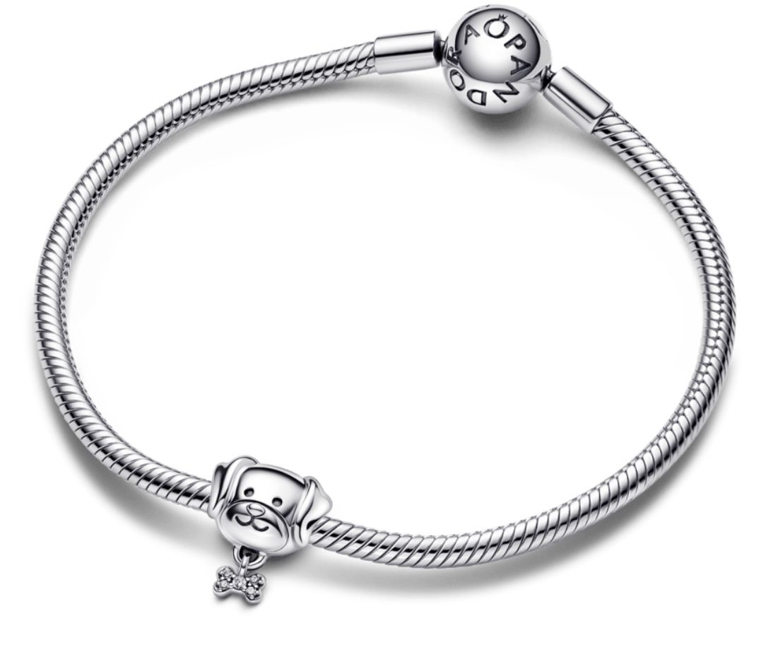 CHARM DOG - PANDORA
