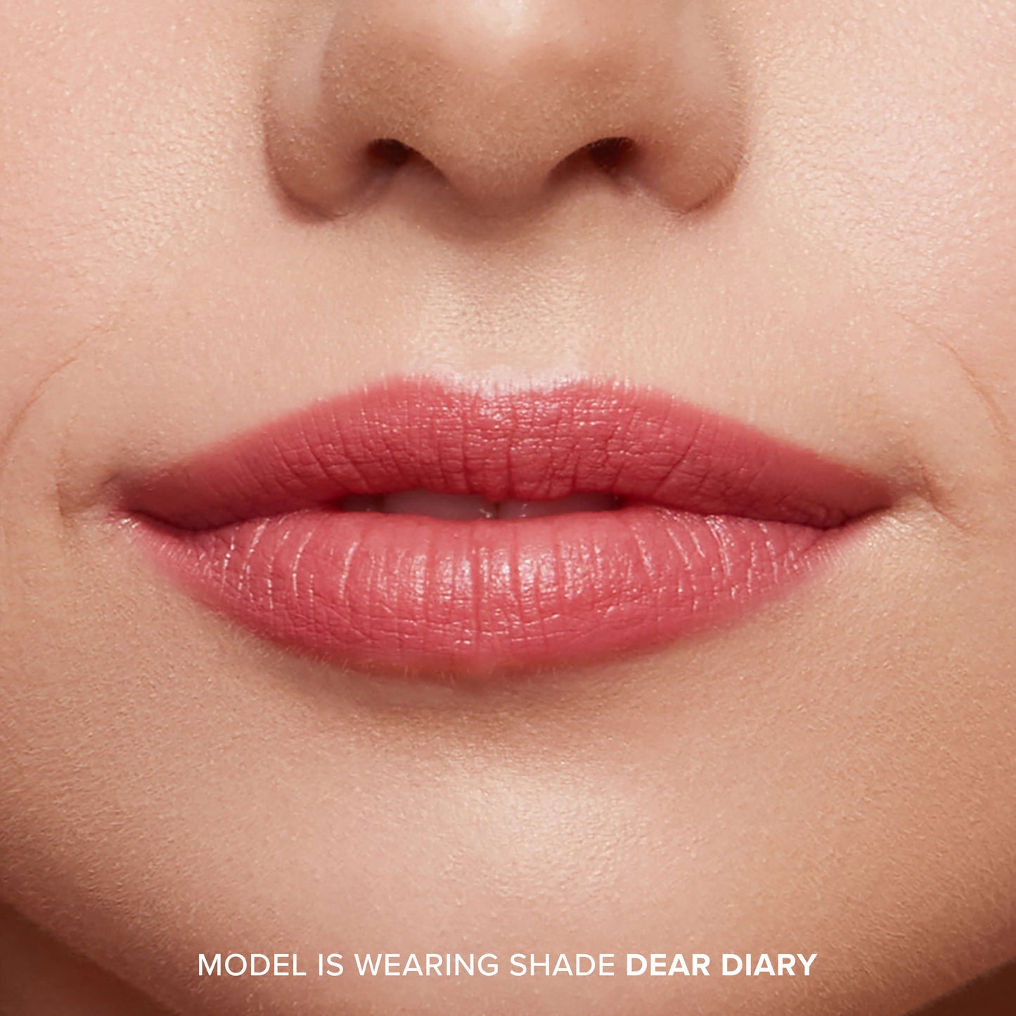LÁPIZ LABIAL LIGERO DE ALTA PIGMENTACIÓN - DEAR DIARY