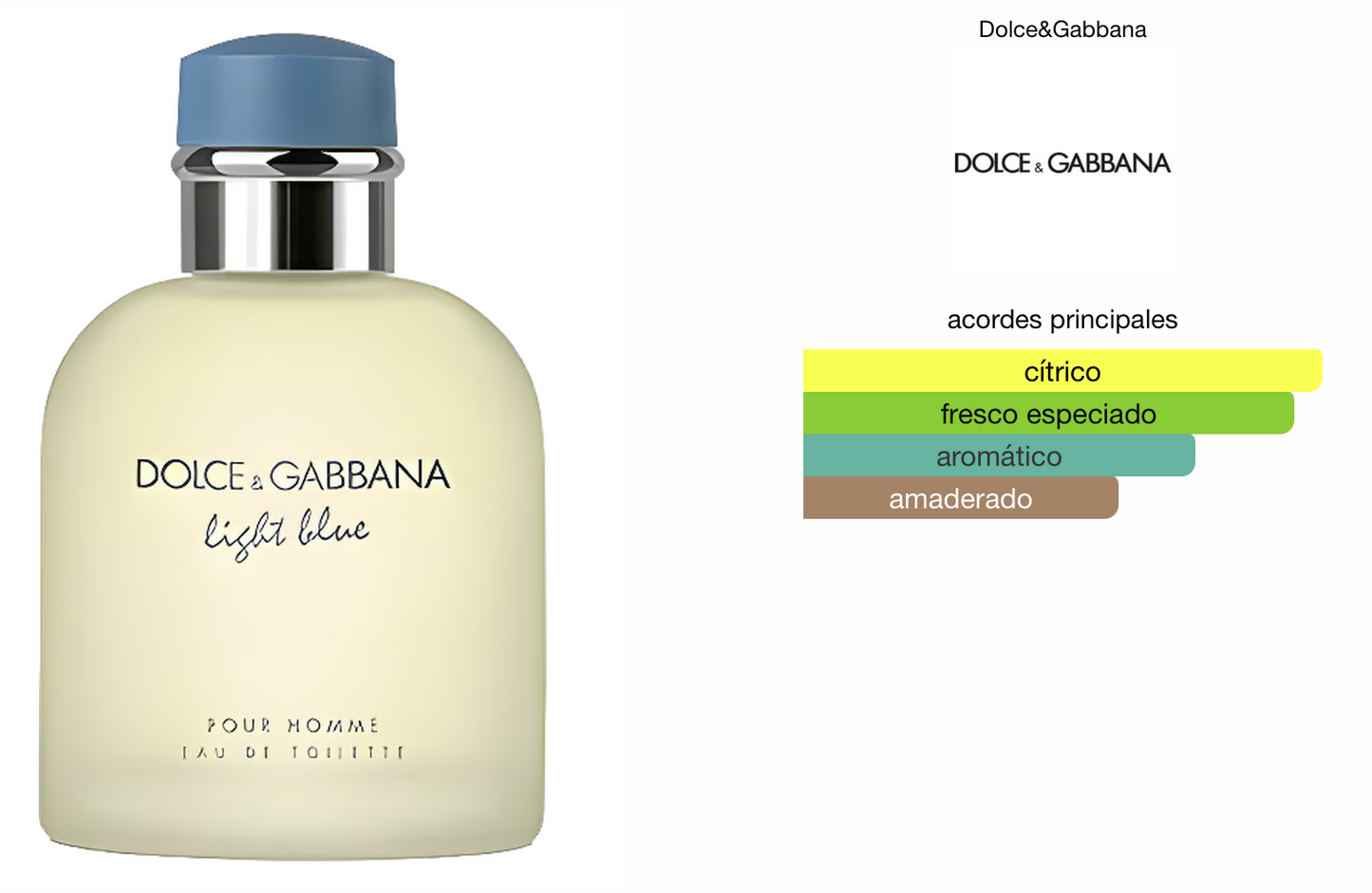 LIGHT BLUE - D&G 40 ML